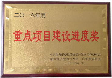 重點項目建設(shè)進(jìn)度獎